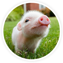 有力的產品質量保證